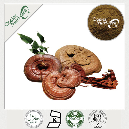 Ganoderma lucidum (reishi) Extract