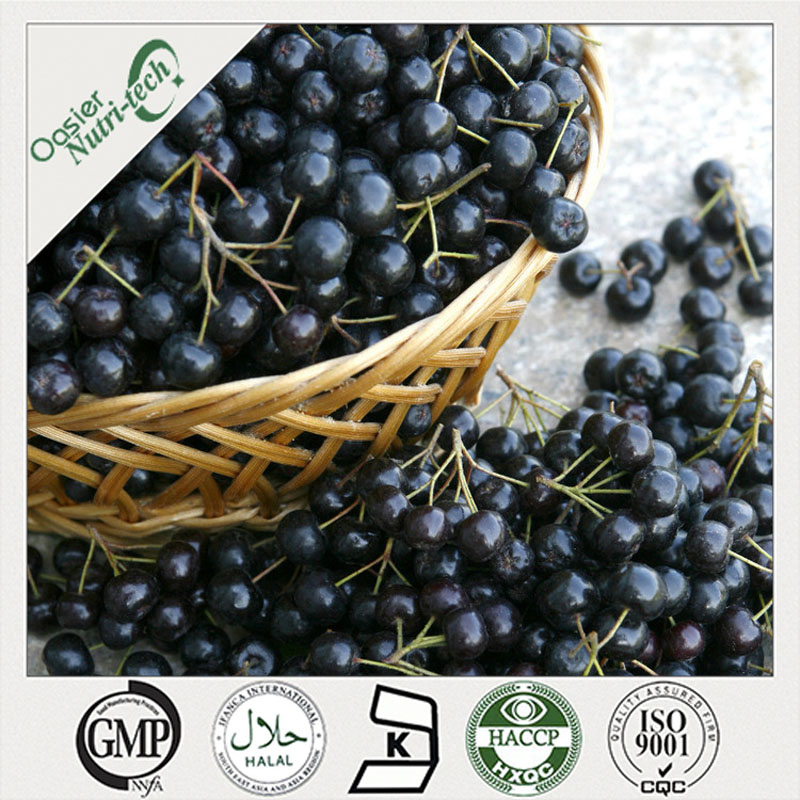 Aronia Extract (Chokeberry)