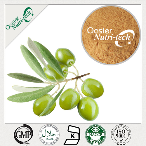 Olive Leaf Extract