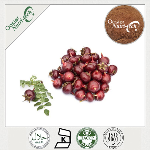 Rose Hip Extract