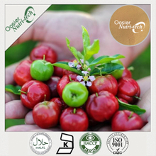 Acerola Cherry Extract powder