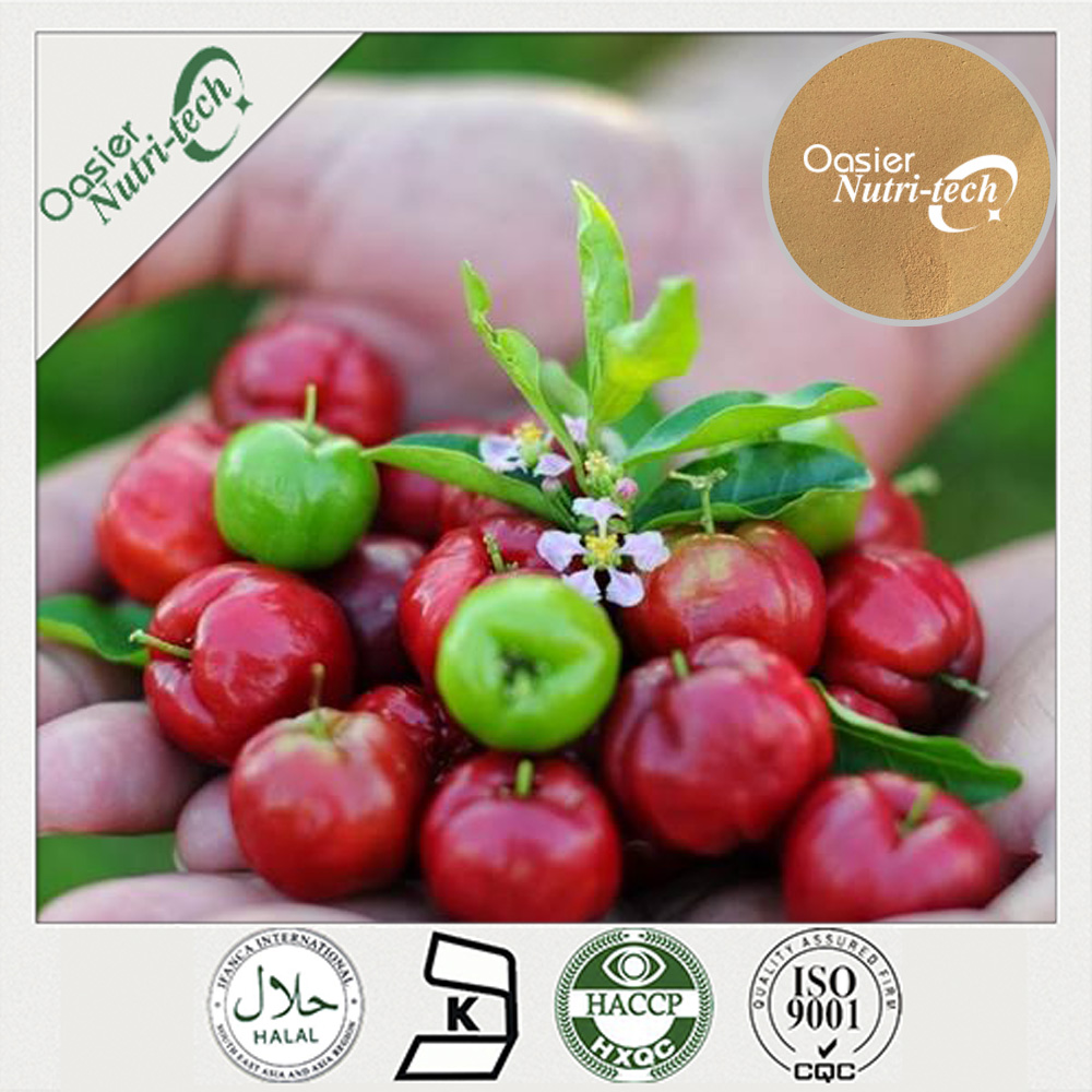 Acerola Cherry Extract powder