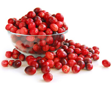 Cranberry Juice Concentrate powder