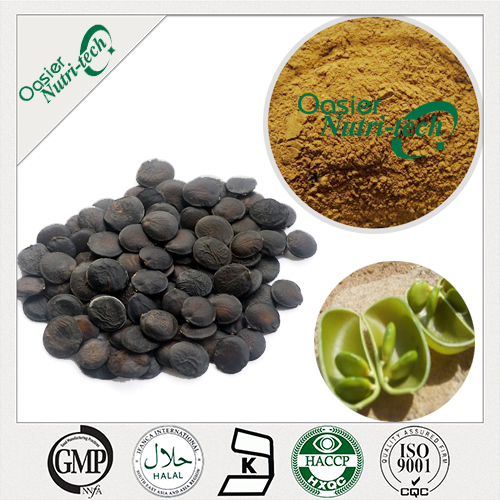 Griffonia Seed Extract - 5-HTP