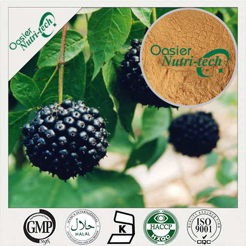 Siberian Ginseng Extract