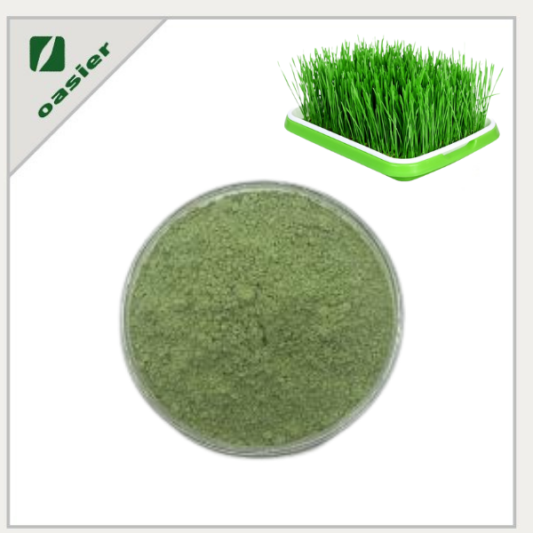Natural barley grass powder