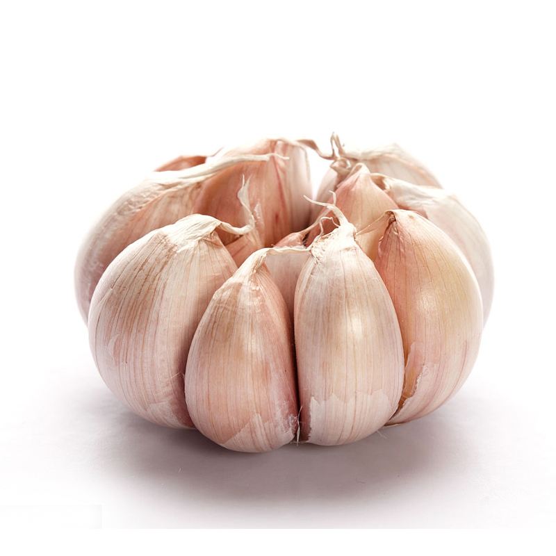 Garlic Extract Allicin