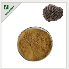 Organic Maitake Mushroom Extract