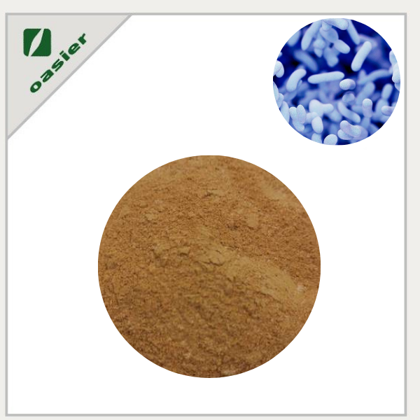 Bacillus Subtilis Supplement