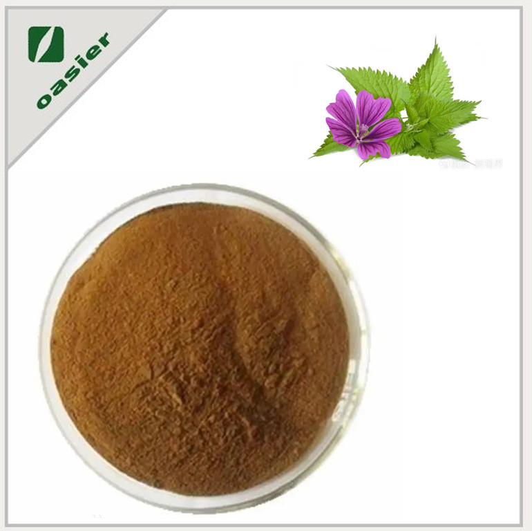 Stinging Nettle Extract